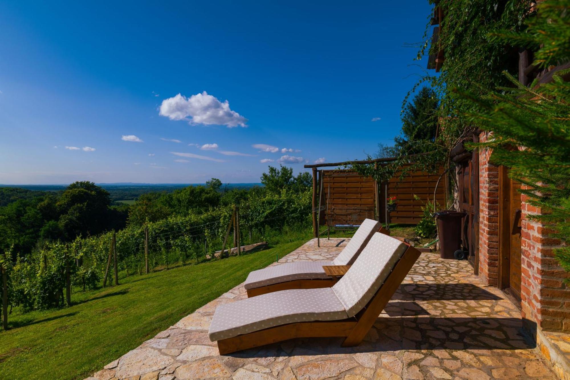 Holiday Home Wine & Relax Sveti Martin Na Muri Gornji Koncovcak Экстерьер фото
